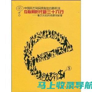 赚钱秘籍：个人站长如何打造高盈利的网站业务模型